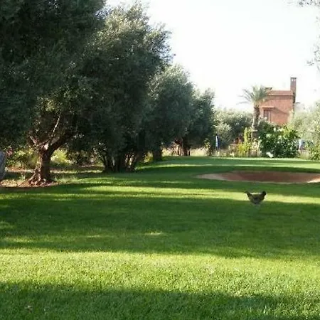 Riad Les Jardins De Kesali-3